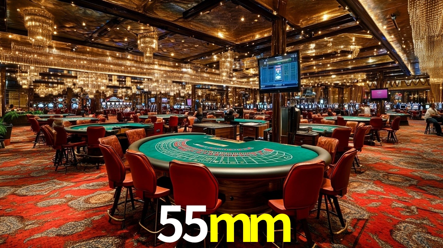 55mm.com